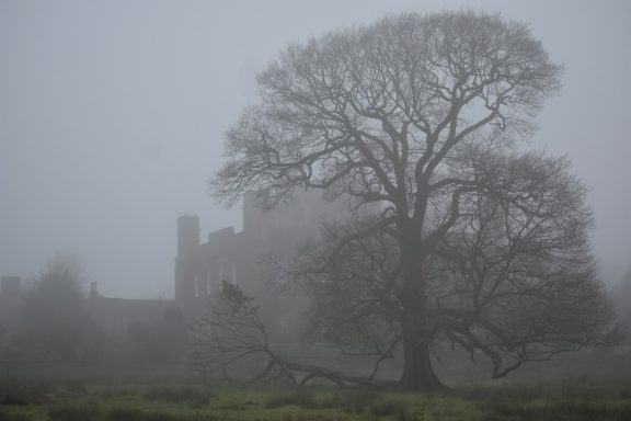 17 Verlagsklicks in den ersten 4 Tagen
